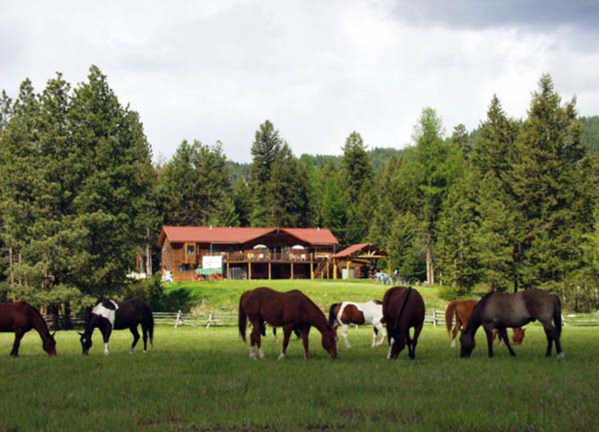 Horses Grazing After A Day's Work